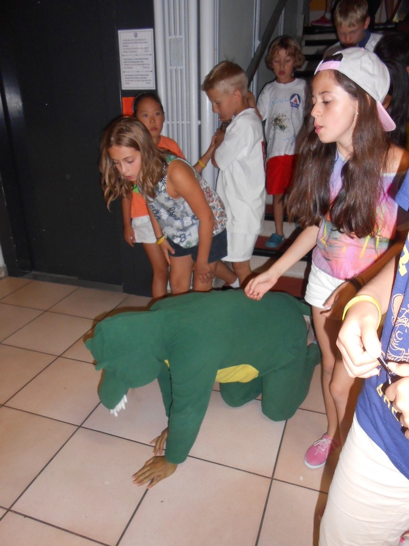 Village Camps International Summer Camp Leysin, Switzerland 2026-07-26 https://www.villagecamps.com/journals_admin/images/714-45-petting zoo (8).jpg